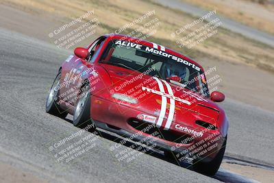 media/Oct-15-2023-CalClub SCCA (Sun) [[64237f672e]]/Group 4/Race/